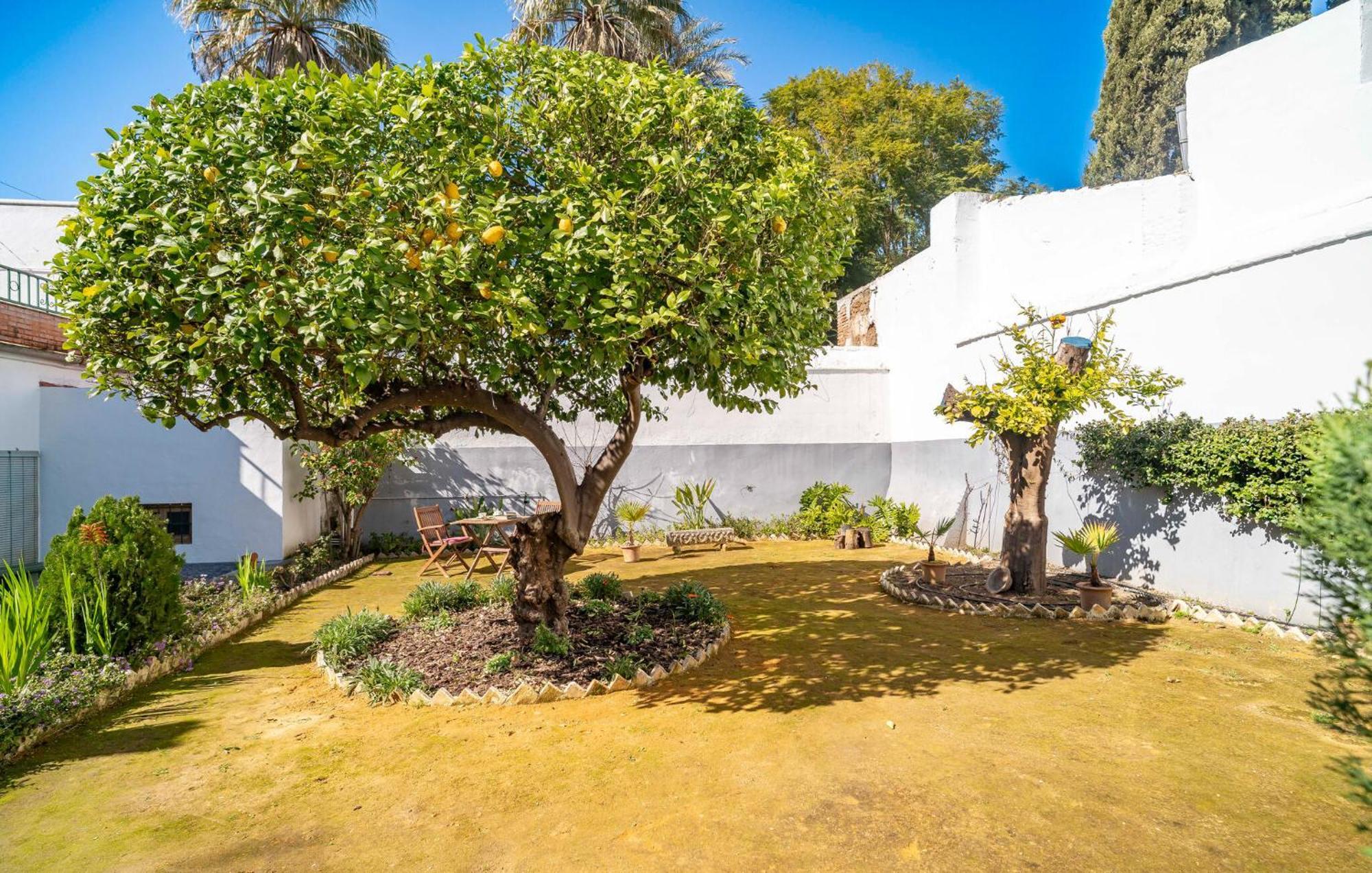 شقة La Casa Del Limonero Peñaflor المظهر الخارجي الصورة